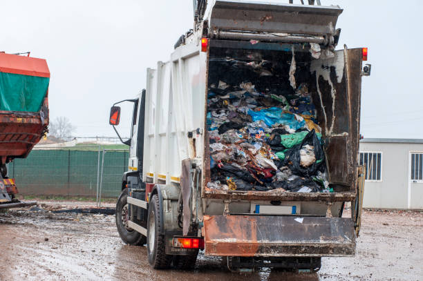 Best Dumpster Rental Services  in La Mirada, CA